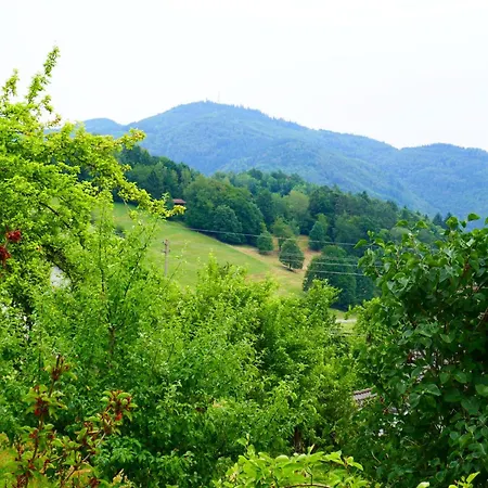Haus Landblick * Zell im Wiesenthal