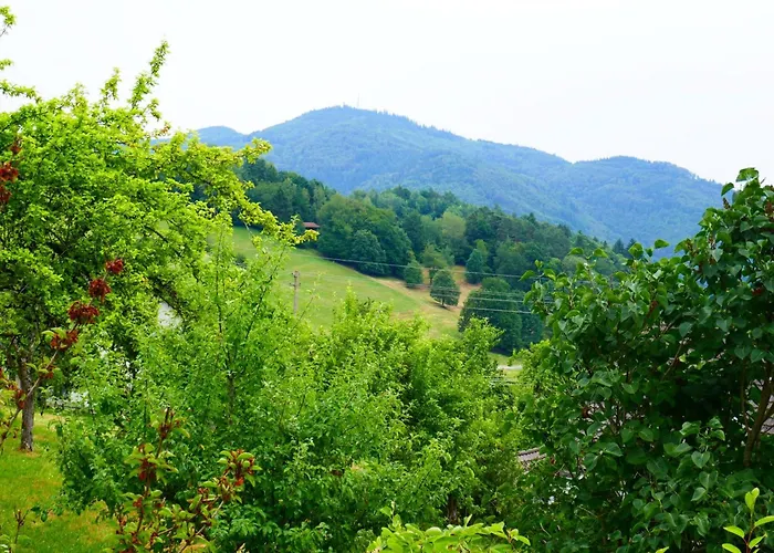 Haus Landblick * Zell im Wiesenthal